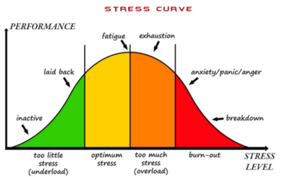 Lange termijn effecten van chronische stress