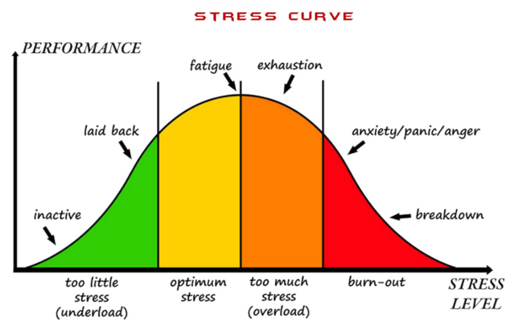 Lange termijn effecten van chronische stress